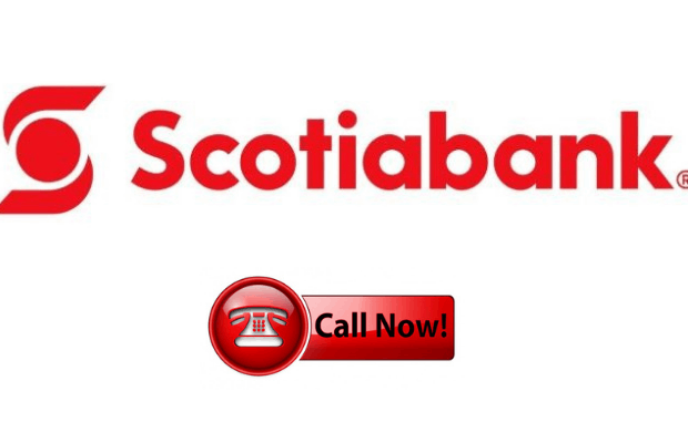 Scotiabank Credit Card - How To Apply Online